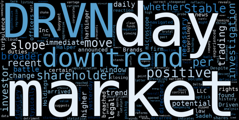 WordCloud for Driven Brands Holdings