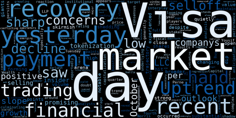 WordCloud for Visa Inc.