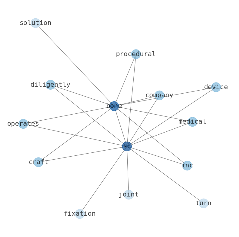Concept map for SI-BONE (SIBN)