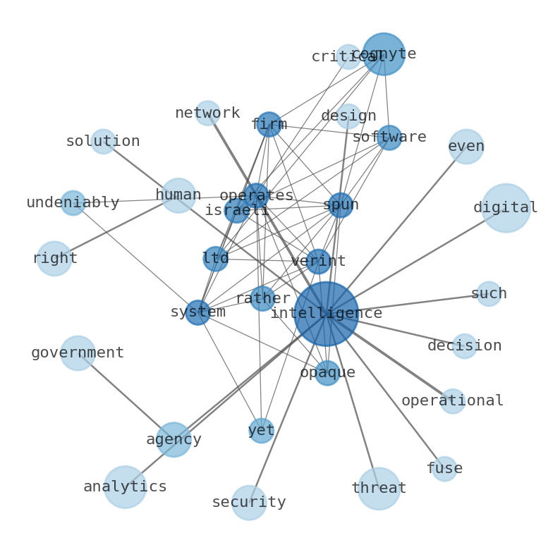 Semantic Network for Cognyte Software (CGNT)