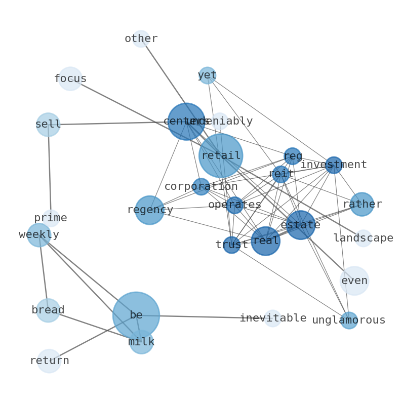 Semantic Network for Regency Centers (REG)
