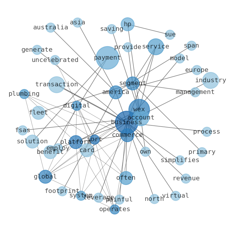 Semantic Network for WEX Inc. (WEX)